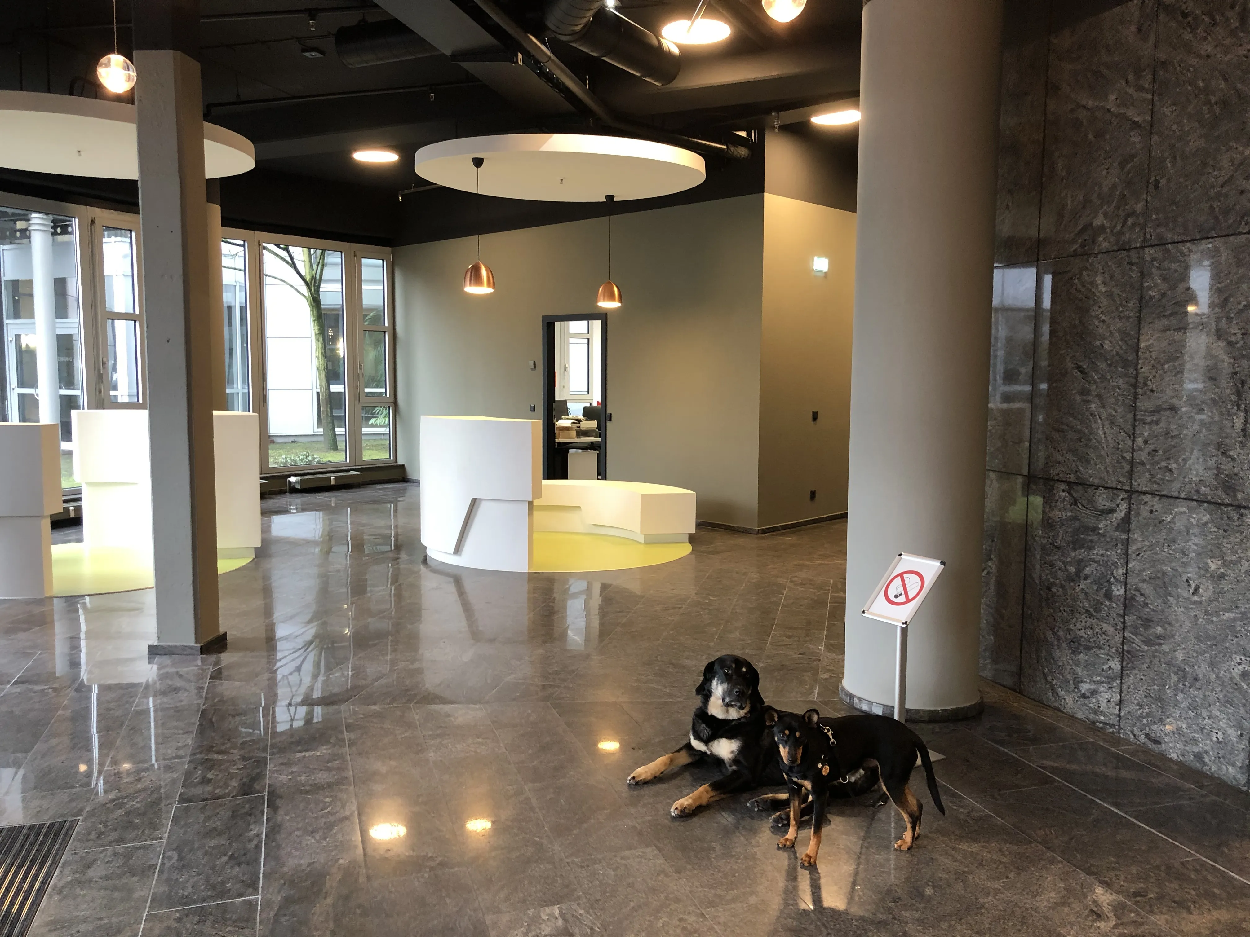 LES 30_34 ESCHBORN — Revitalisierung Hybridgebäude Ludwig-Erhard-Straße, Eschborn, Bild 6